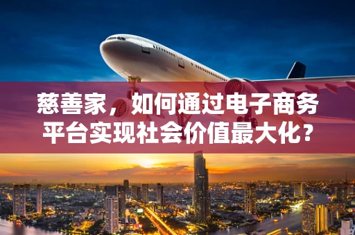 慈善家，如何通过电子商务平台实现社会价值最大化？