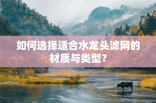 如何选择适合水龙头滤网的材质与类型？