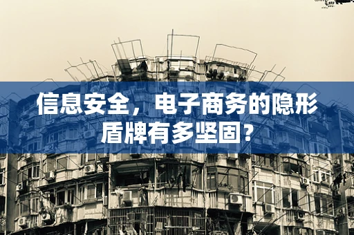 信息安全，电子商务的隐形盾牌有多坚固？