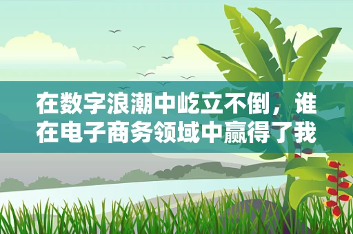 在数字浪潮中屹立不倒，谁在电子商务领域中赢得了我们的敬佩？