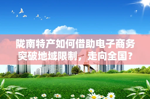 陇南特产如何借助电子商务突破地域限制，走向全国？