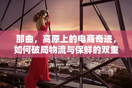 那曲，高原上的电商奇迹，如何破局物流与保鲜的双重挑战？