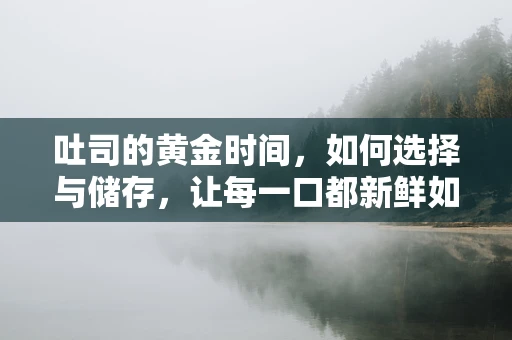 吐司的黄金时间，如何选择与储存，让每一口都新鲜如初？