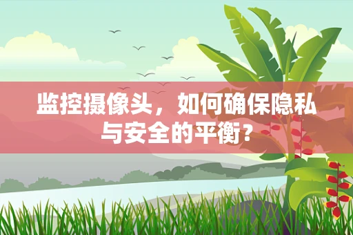 监控摄像头，如何确保隐私与安全的平衡？