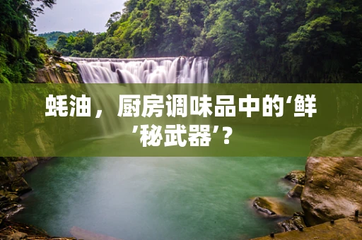 蚝油，厨房调味品中的‘鲜’秘武器’？