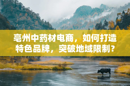 亳州中药材电商，如何打造特色品牌，突破地域限制？