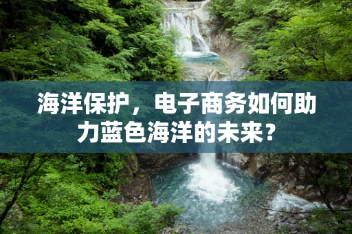 海洋保护，电子商务如何助力蓝色海洋的未来？