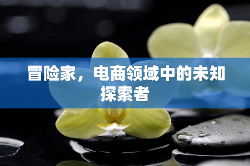 冒险家，电商领域中的未知探索者