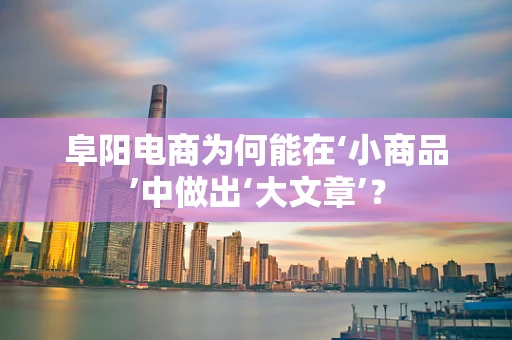 阜阳电商为何能在‘小商品’中做出‘大文章’？