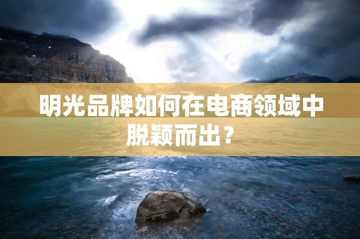 明光品牌如何在电商领域中脱颖而出？