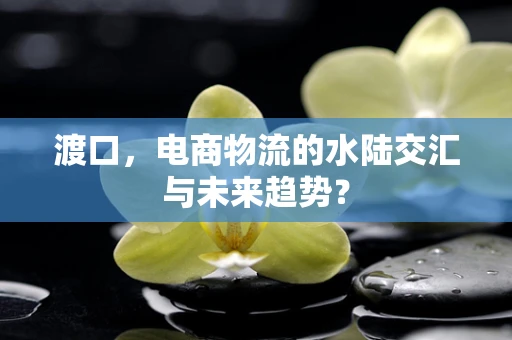 渡口，电商物流的水陆交汇与未来趋势？