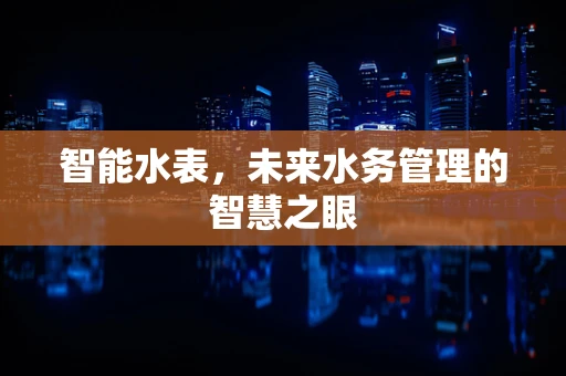 智能水表，未来水务管理的智慧之眼