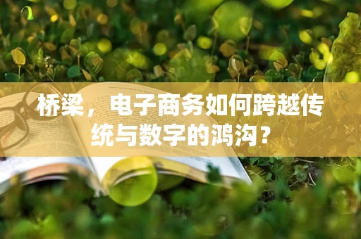 桥梁，电子商务如何跨越传统与数字的鸿沟？