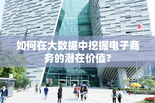 如何在大数据中挖掘电子商务的潜在价值？