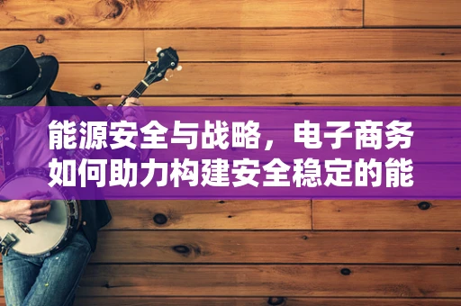 能源安全与战略，电子商务如何助力构建安全稳定的能源供应链？