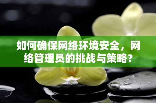 如何确保网络环境安全，网络管理员的挑战与策略？