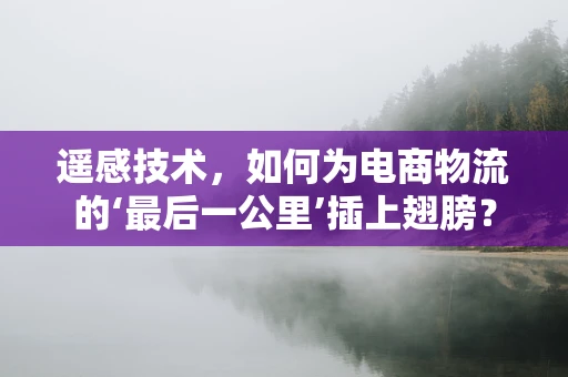 遥感技术，如何为电商物流的‘最后一公里’插上翅膀？