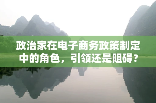 政治家在电子商务政策制定中的角色，引领还是阻碍？