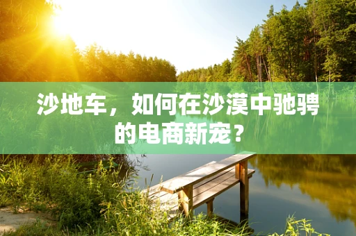沙地车，如何在沙漠中驰骋的电商新宠？