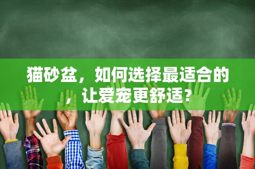 猫砂盆，如何选择最适合的，让爱宠更舒适？