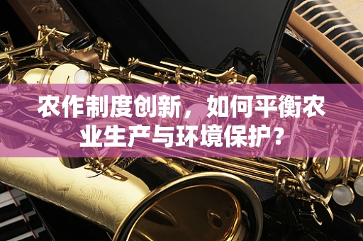 农作制度创新，如何平衡农业生产与环境保护？