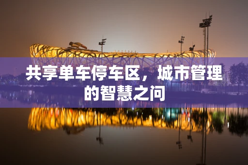共享单车停车区，城市管理的智慧之问