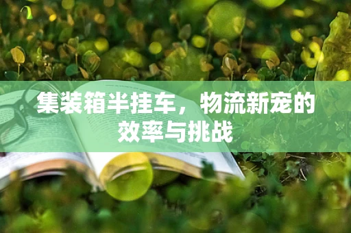 集装箱半挂车，物流新宠的效率与挑战