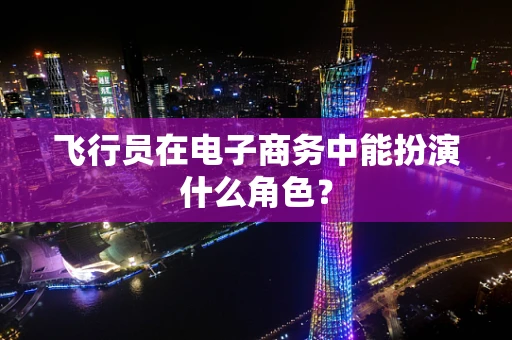 飞行员在电子商务中能扮演什么角色？