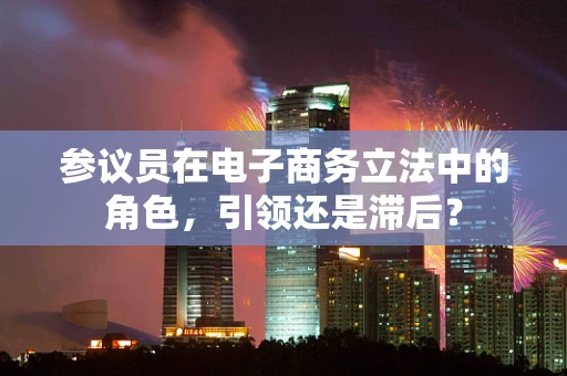 参议员在电子商务立法中的角色，引领还是滞后？