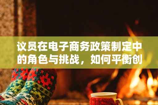 议员在电子商务政策制定中的角色与挑战，如何平衡创新与监管？