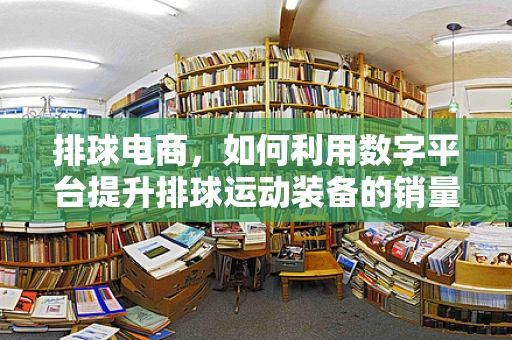 排球电商，如何利用数字平台提升排球运动装备的销量？