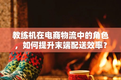 教练机在电商物流中的角色，如何提升末端配送效率？