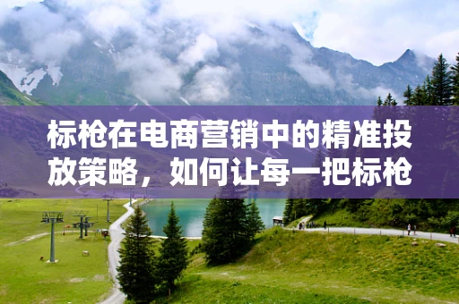 标枪在电商营销中的精准投放策略，如何让每一把标枪都击中消费者的心？
