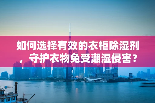如何选择有效的衣柜除湿剂，守护衣物免受潮湿侵害？