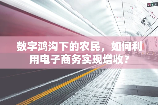 数字鸿沟下的农民，如何利用电子商务实现增收？