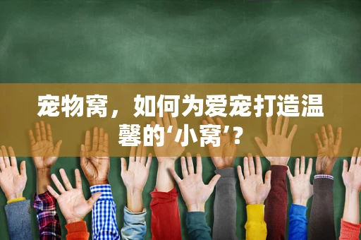 宠物窝，如何为爱宠打造温馨的‘小窝’？