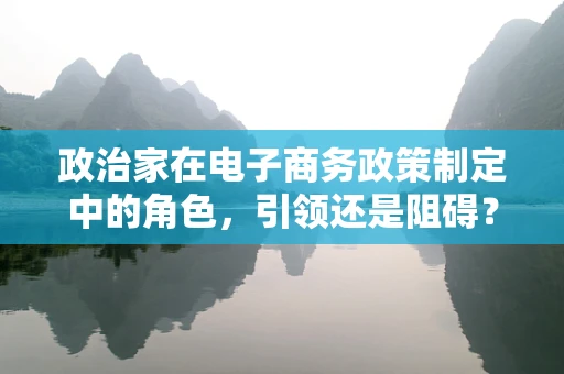 政治家在电子商务政策制定中的角色，引领还是阻碍？