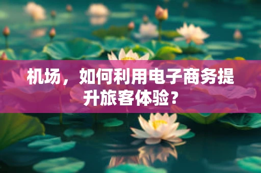 机场，如何利用电子商务提升旅客体验？
