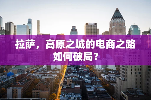 拉萨，高原之城的电商之路如何破局？