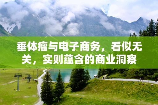 垂体瘤与电子商务，看似无关，实则蕴含的商业洞察