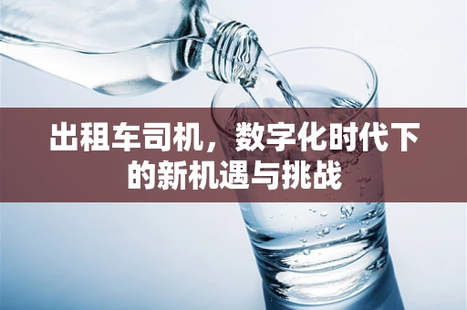 出租车司机，数字化时代下的新机遇与挑战