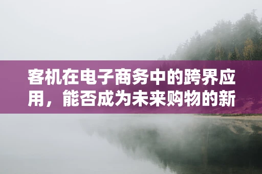 客机在电子商务中的跨界应用，能否成为未来购物的新航道？