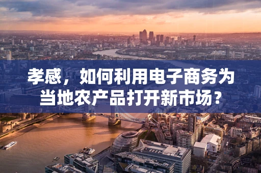 孝感，如何利用电子商务为当地农产品打开新市场？