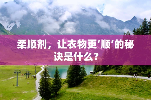 柔顺剂，让衣物更‘顺’的秘诀是什么？