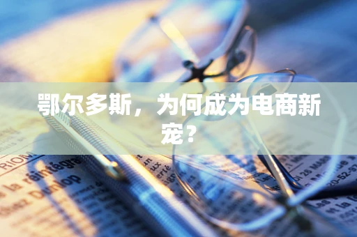 鄂尔多斯，为何成为电商新宠？