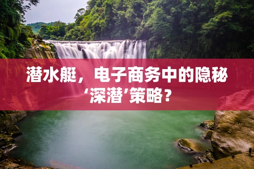 潜水艇，电子商务中的隐秘‘深潜’策略？