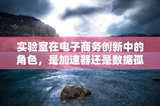 实验室在电子商务创新中的角色，是加速器还是数据孤岛？