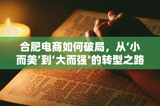 合肥电商如何破局，从‘小而美’到‘大而强’的转型之路