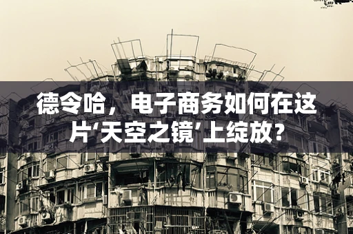 德令哈，电子商务如何在这片‘天空之镜’上绽放？