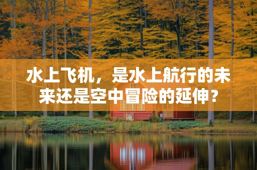 水上飞机，是水上航行的未来还是空中冒险的延伸？